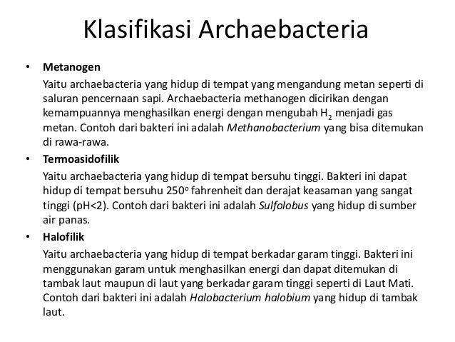 klasifikasi archaebacteria